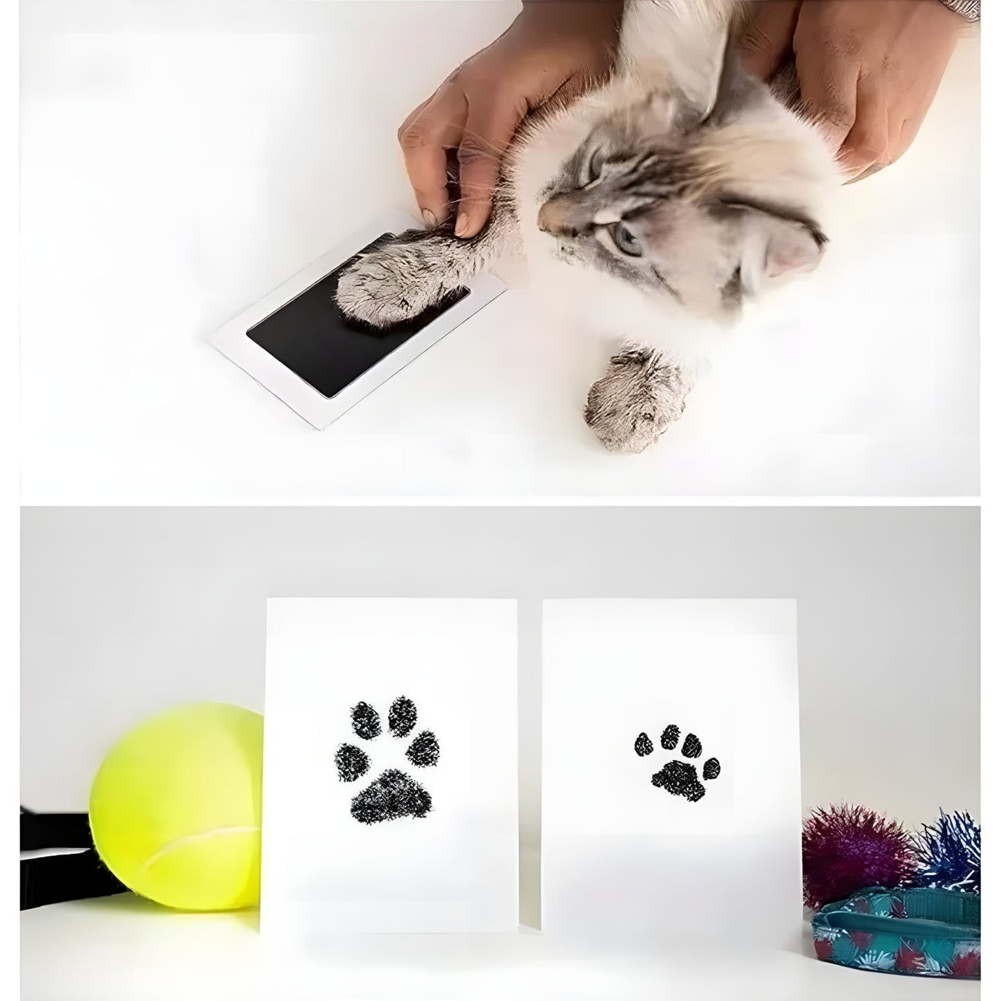 Paw Print Ink Kit