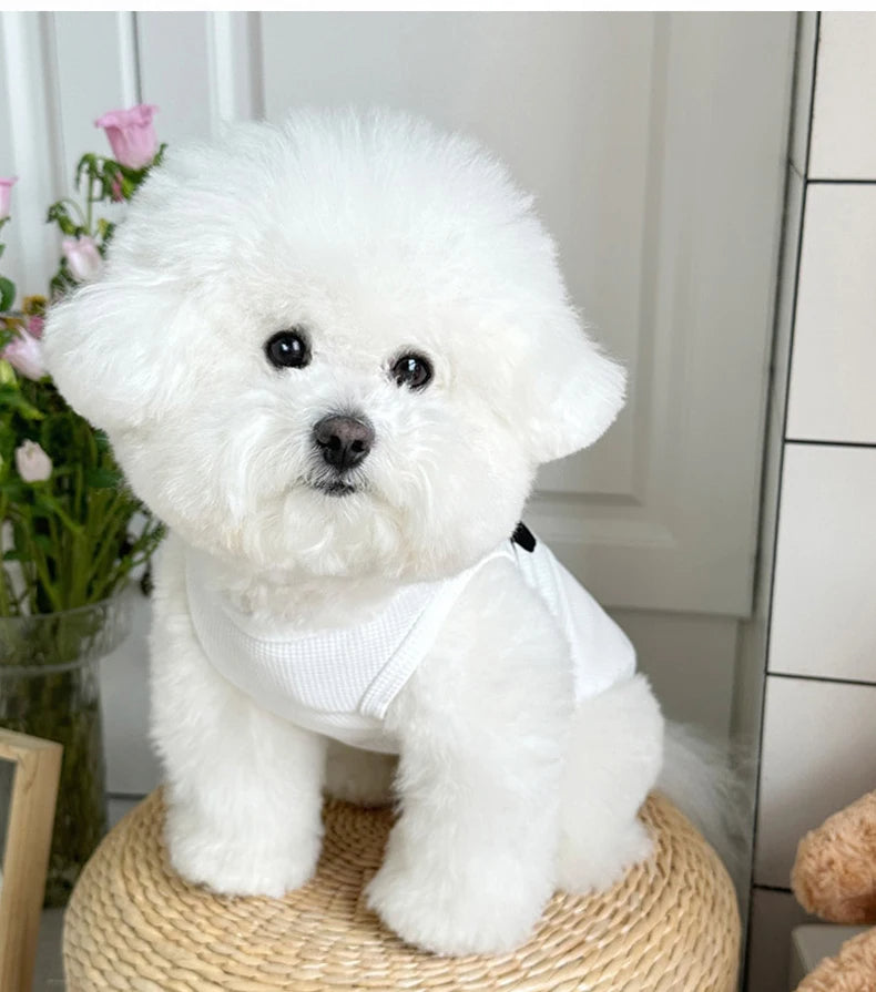 Breathable Pet Vest