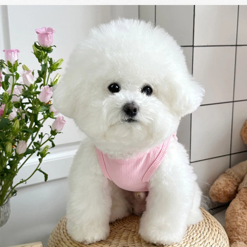 Breathable Pet Vest