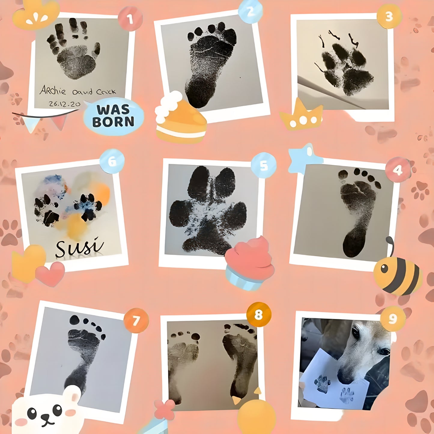 Paw Print Ink Kit