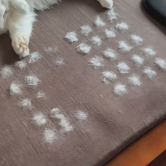 Pet Hair Removal Glove
